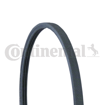 Cinghia Poly-V — CONTINENTAL CTAM 3PJ891