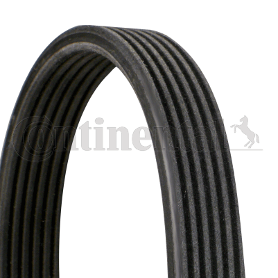 Cinghia Poly-V — CONTINENTAL CTAM 6DPK1195