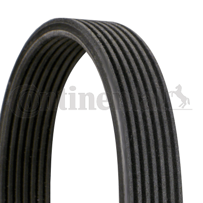 Cinghia Poly-V — CONTINENTAL CTAM 7DPK1360