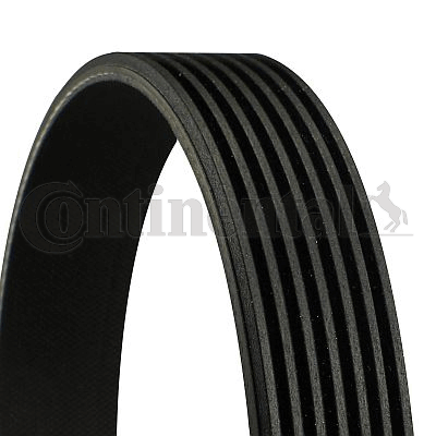 Cinghia Poly-V — CONTINENTAL CTAM 7PK1635
