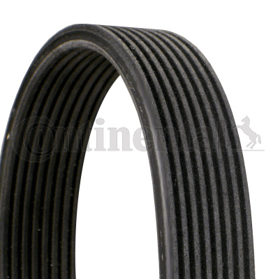 Cinghia Poly-V — CONTINENTAL CTAM 8DPK1833
