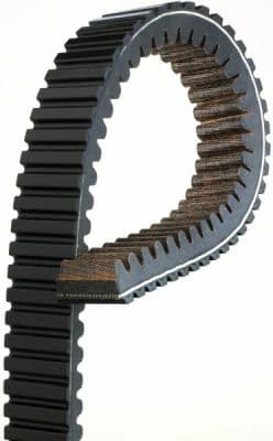 Cinghia di trasmissione-CVT — GATES 19R4022