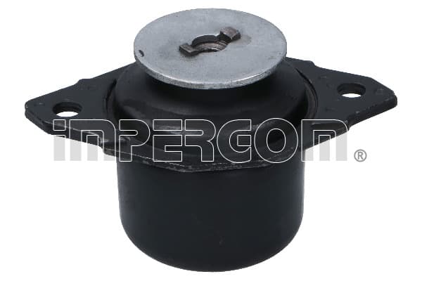 Engine mounting image