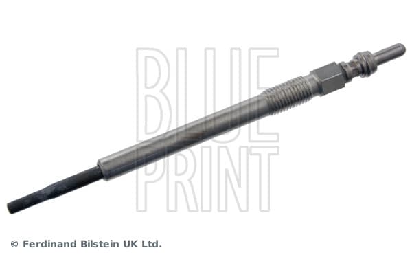 Candelette — BLUE PRINT ADBP180028