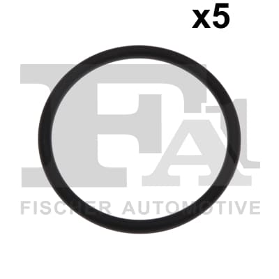 Anello di tenuta — FA1 076.577.005