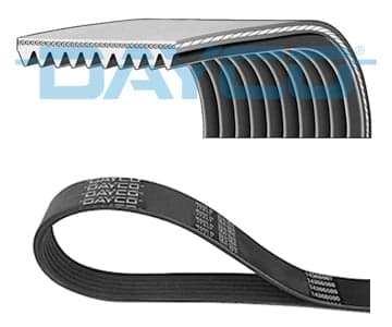 Cinghia Poly-V (DAYCO 10PK1042HD)