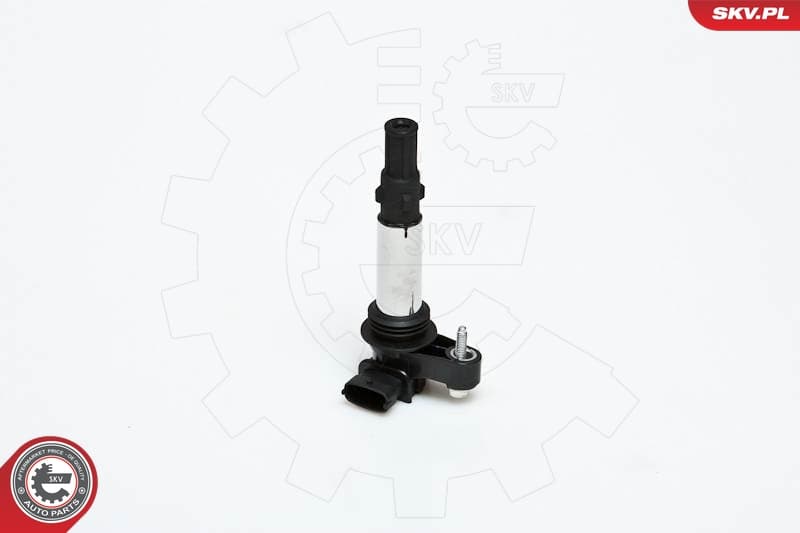 Bobina accensione — ESEN SKV 03SKV151