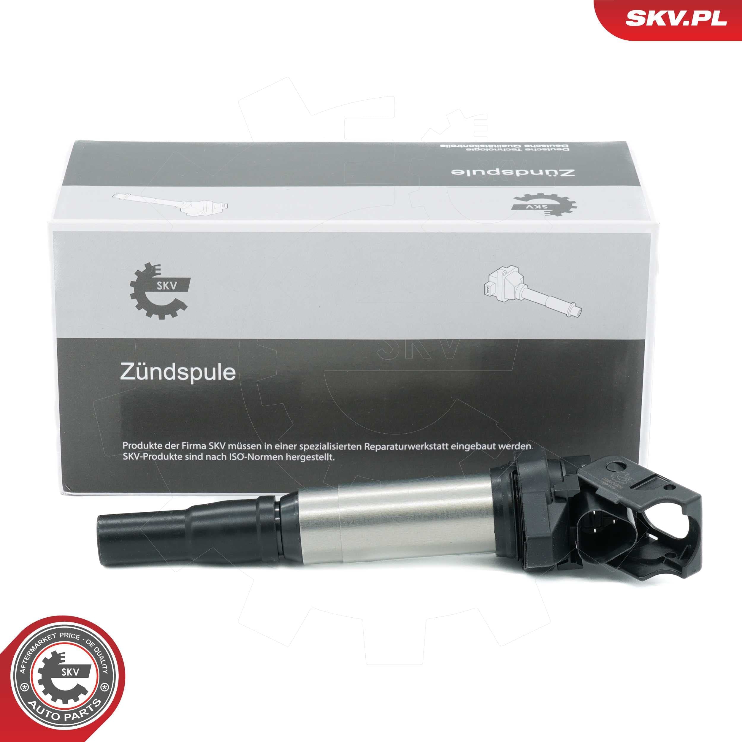 Bobina accensione — ESEN SKV 03SKV206