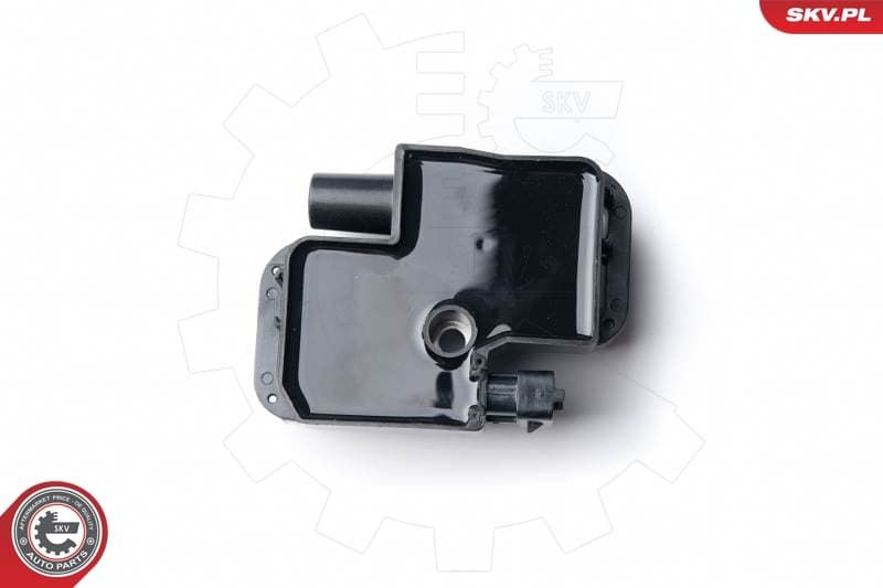 Bobina accensione — ESEN SKV 03SKV221
