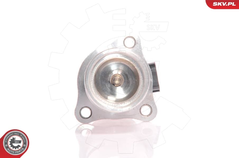 Valvola EGR — ESEN SKV 14SKV010