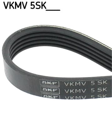 Ribbed V-belt image