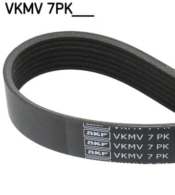 Cinghia Poly-V — SKF VKMV 7PK1646