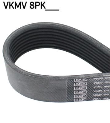 Cinghia Poly-V — SKF VKMV 8PK1172