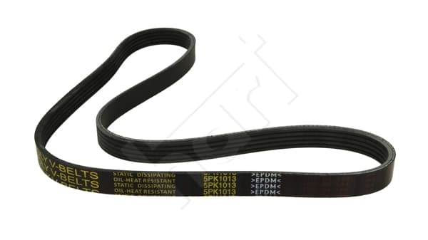Cinghia Poly-V — HART 305 701