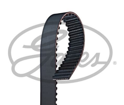 Cinghia dentata — GATES-SEA T099