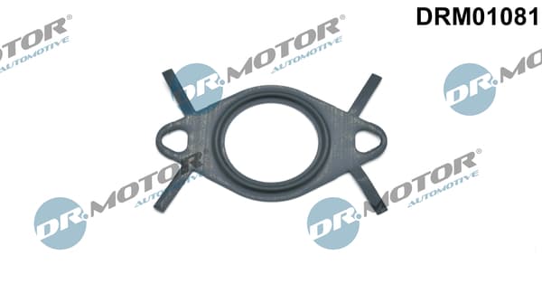 Guarnizione, condotto valvola EGR — Dr.Motor Automotive DRM01081