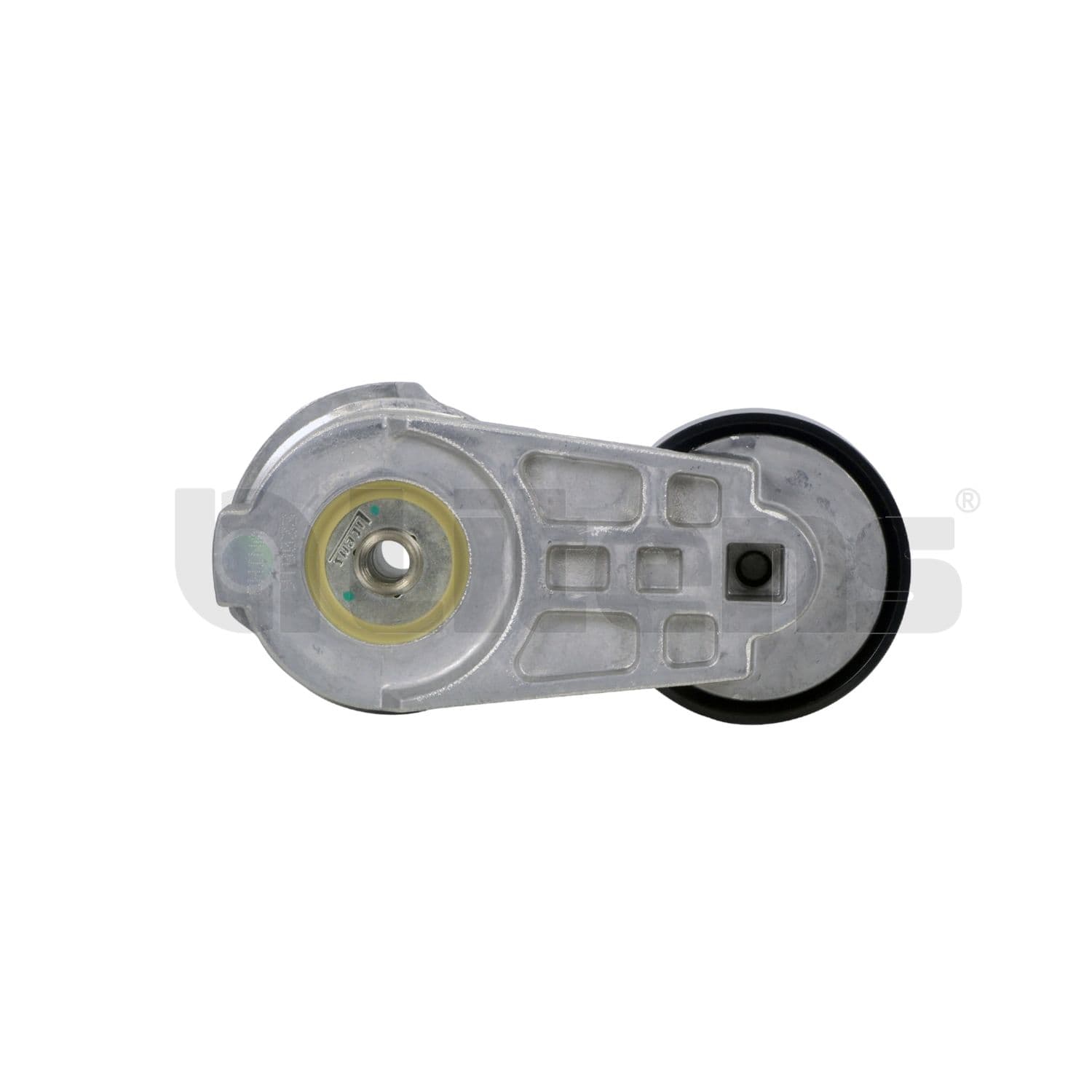 Tendicinghia, Cinghia Poly-V — Litens 910033